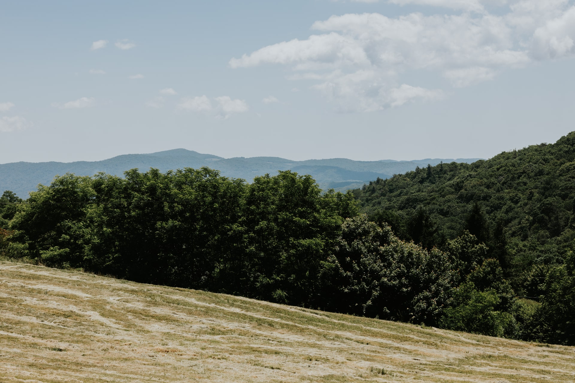 Mountain Ziplining Tours Near Boone, NC